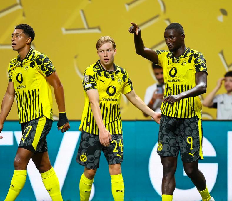 爱游戏在线-印尼队轻取德国队，马琳统治全场