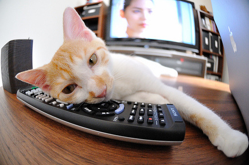 爱游戏官网-红土之魂，硬地之魄，蒂姆双线封神，重塑网球唯一性神话