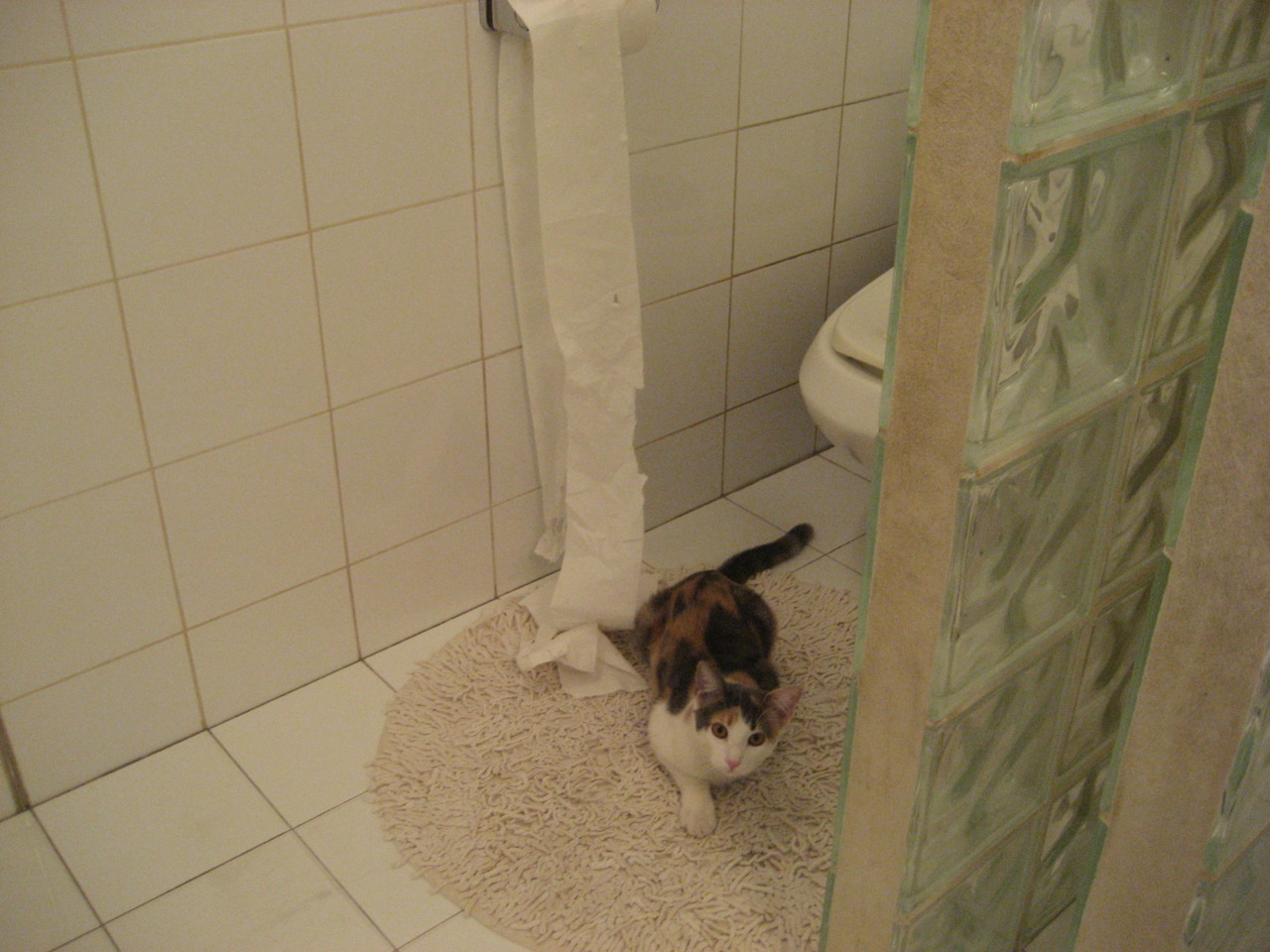 爱游戏官方-聚光灯下的天选之子，当摩洛哥的铁壁扼杀红龙之梦，奥斯梅恩正吞噬每一个舞台