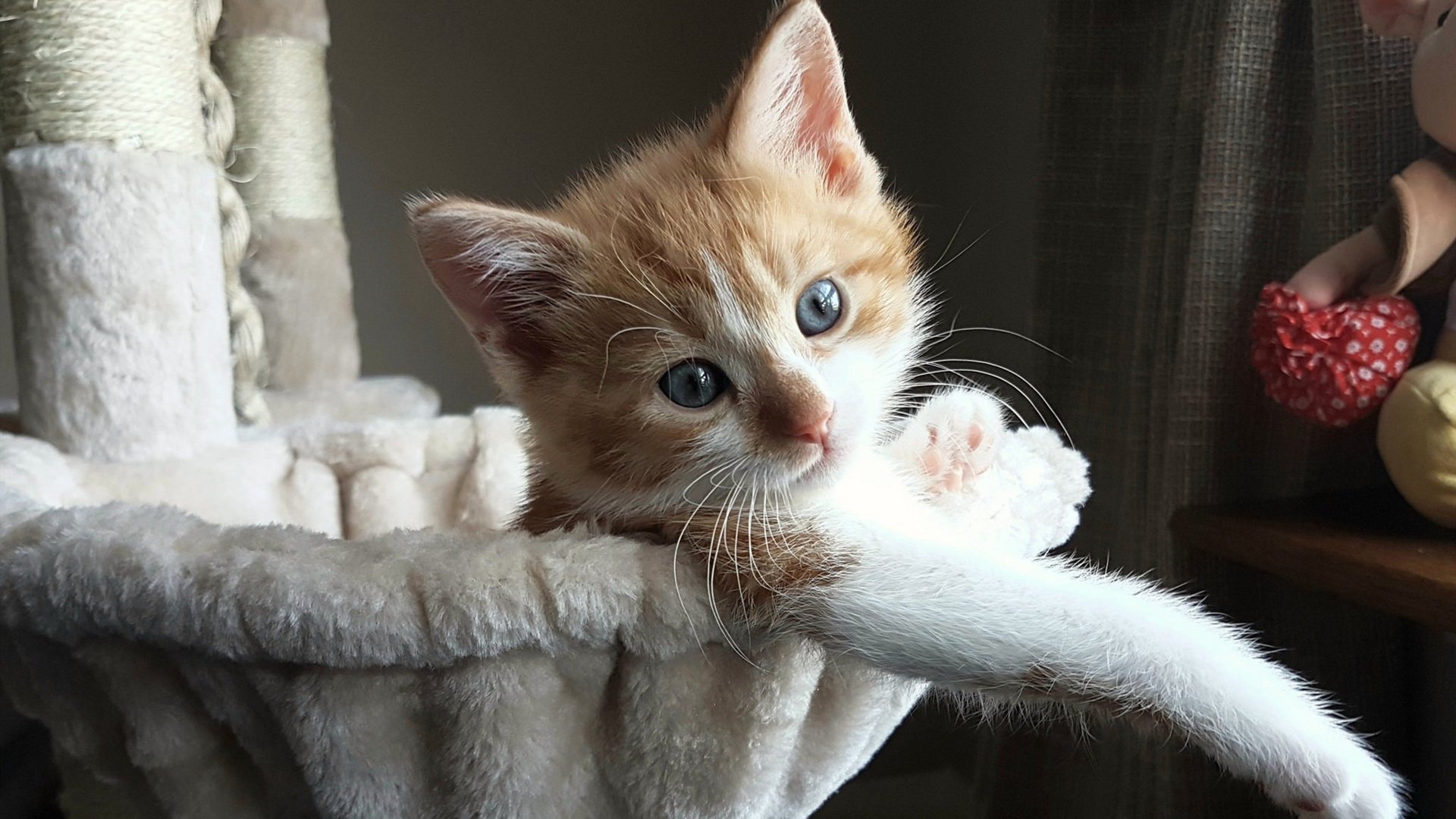 铁血托尼锻造逆袭之矛，厄瓜多尔绝境突围燃动马赛之夜