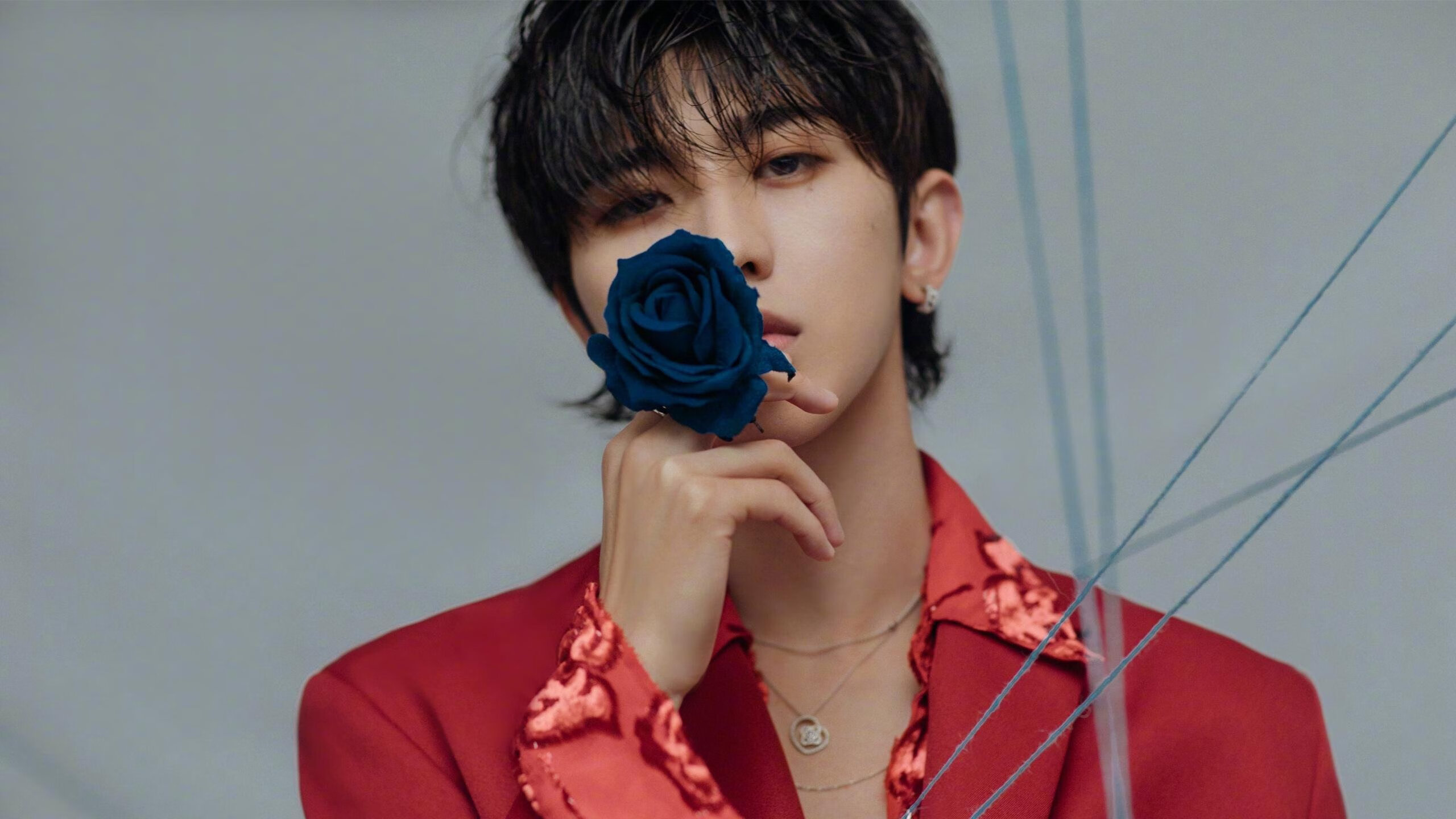 双城记，罗德里锁定胜局，爱尔兰大闸冻结蓝军风暴