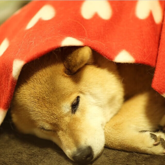 福登天神下凡！利物浦3-1力克莱比锡红牛，关键先生主宰欧冠之夜