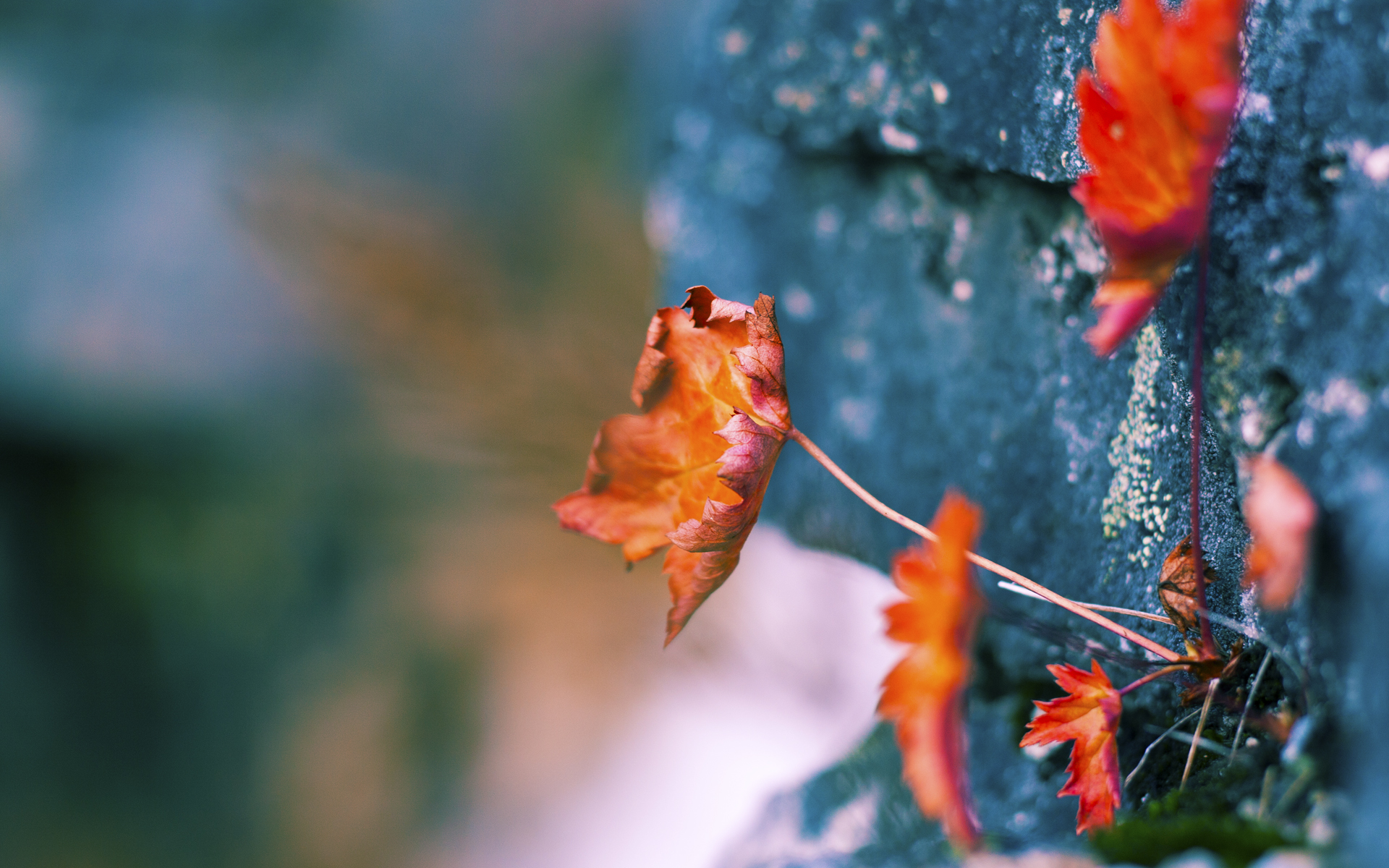 风暴与利刃，当利物浦的洪流遇见李刚仁的寒光
