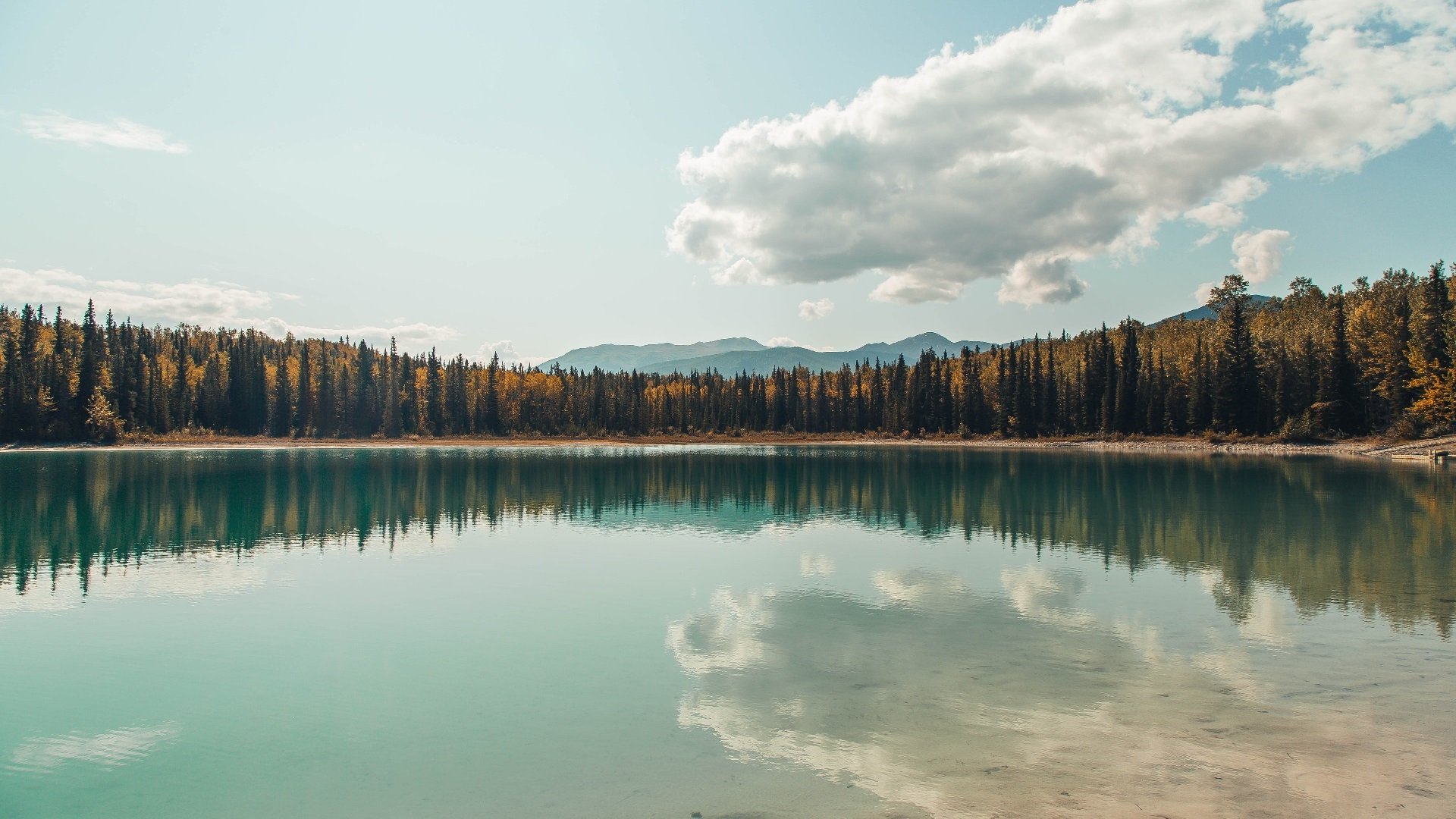 静默刺客，英格拉姆于无声处听惊雷，黄蜂阵前再证硬仗王魂