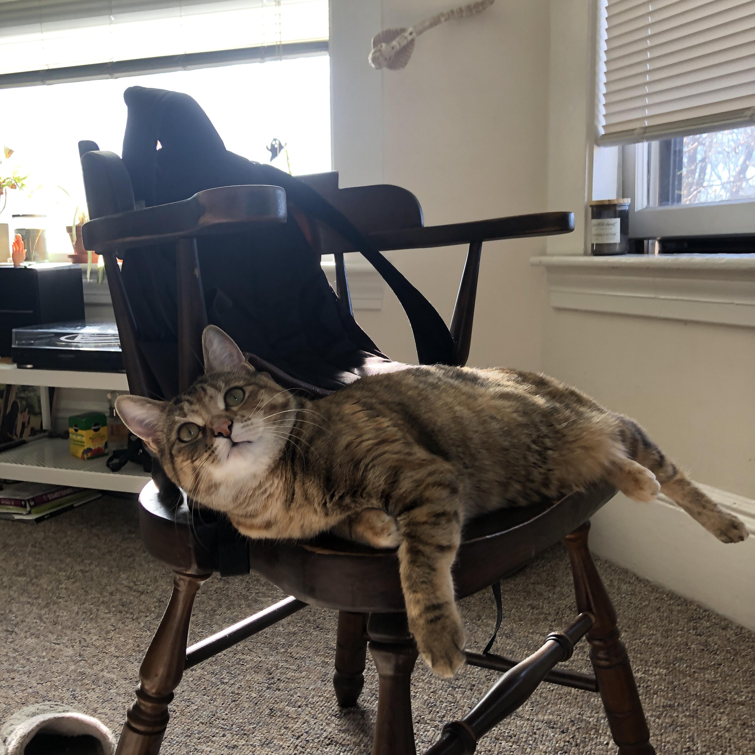 太阳方程式狂飙，乔治化身赛道车手踏平快船