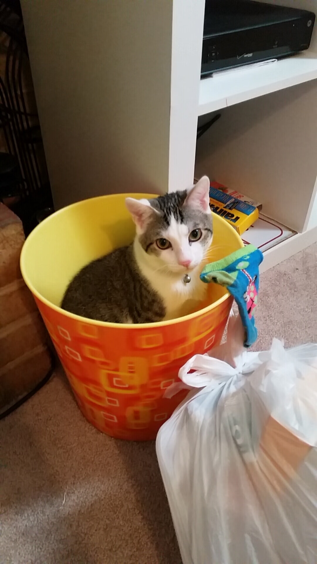 莫兰特50+三双加时封神 浙江压哨三分绝杀广厦 篮球之夜见证双重奇迹