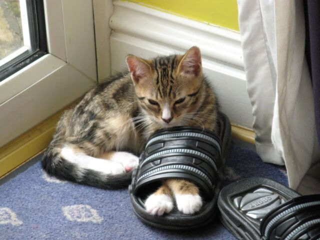 西甲神殿的异乡神祇，布克如何在一个夜晚改写国家德比的百年叙事