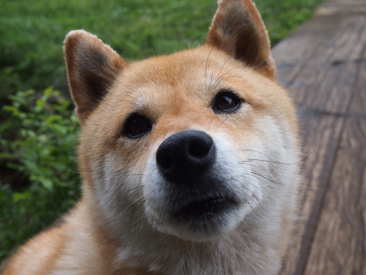 爱游戏在线-从NBA殿堂到战火废墟，背水一战的共通灵魂