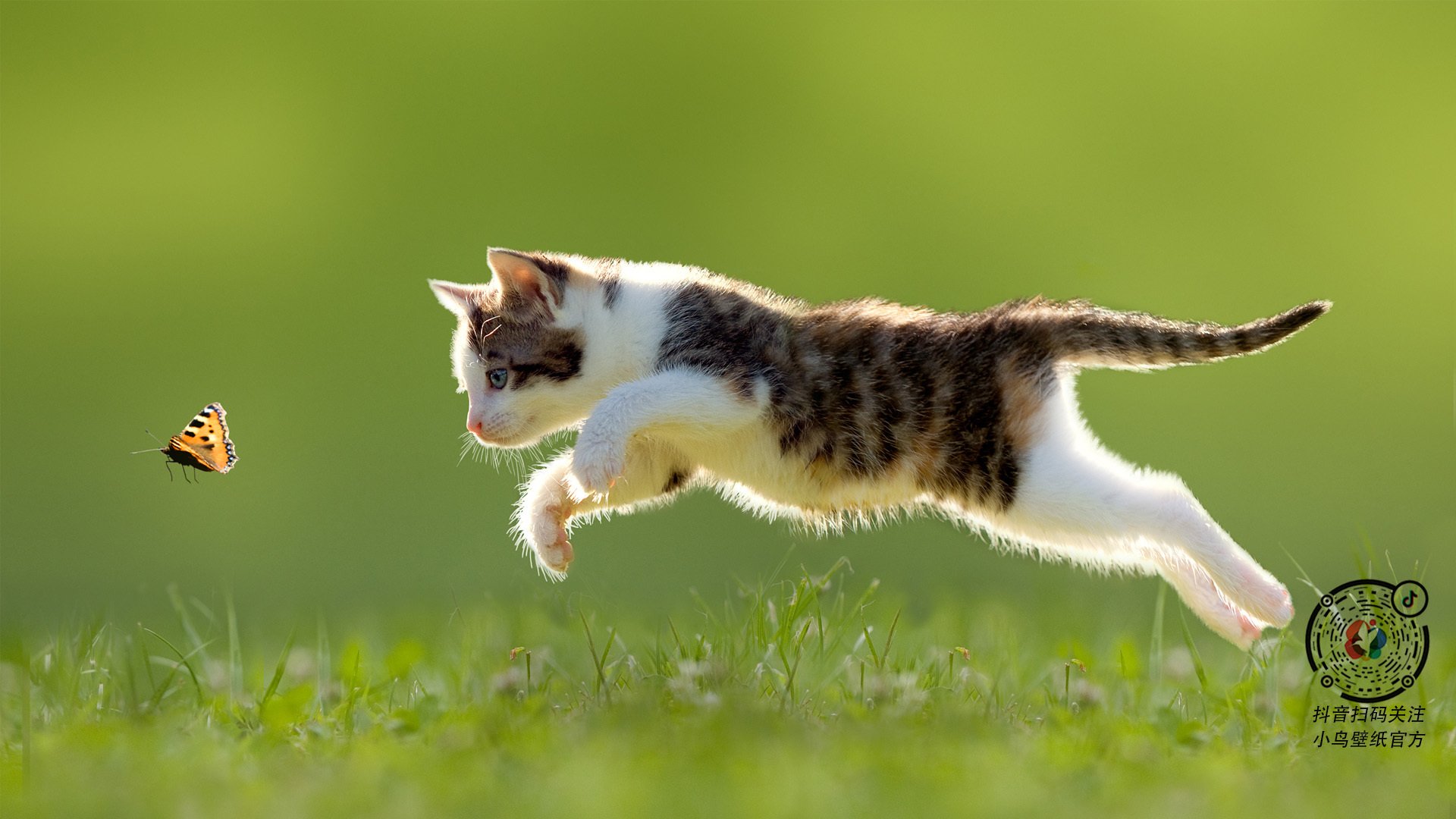 世界排名争夺战白热化，广东队加时险胜深圳队，焦点战引爆全球篮球界