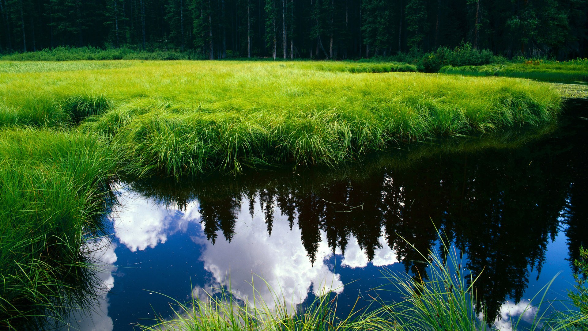 沉默中爆发！魔术狂胜夜，那个曾被遗忘的天才用一把利刃刺穿所有质疑