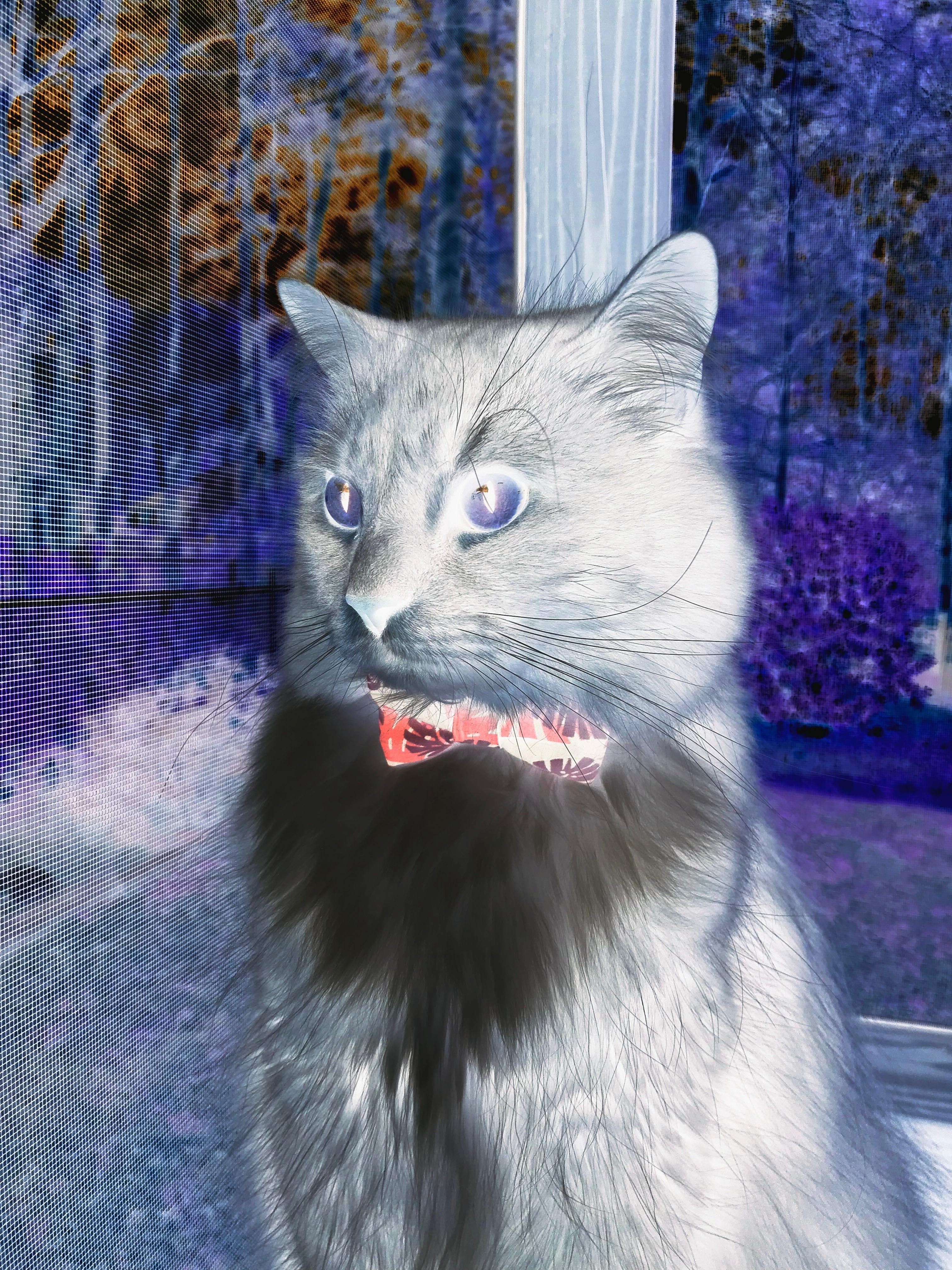 冰火双生，从哈弗茨的绝杀到芬兰的掌控—关键时刻的竞技哲学