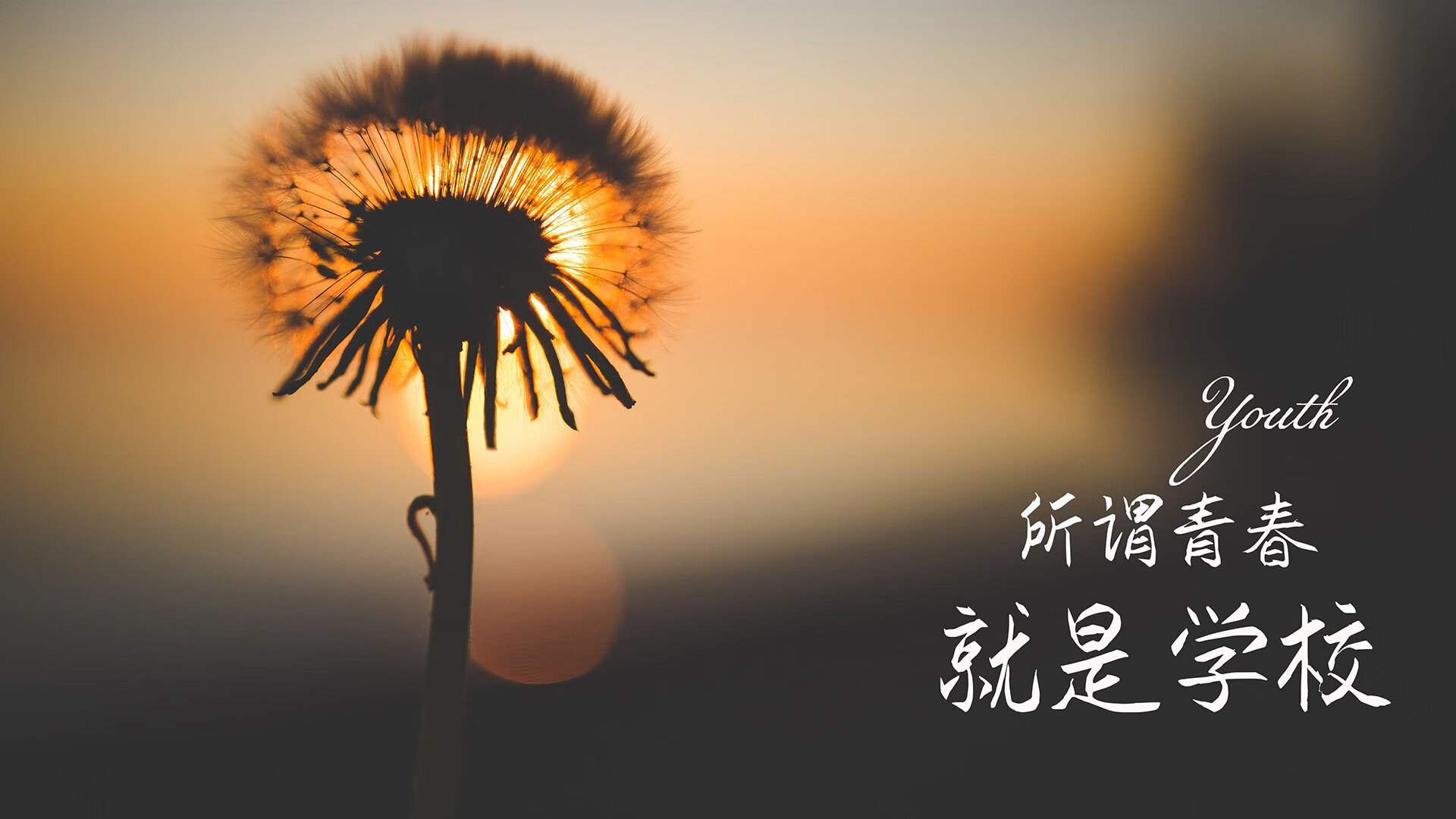 布拉迪斯拉发的最后一秒,当苏亚雷斯让2026世界杯四分之一决赛永载史册