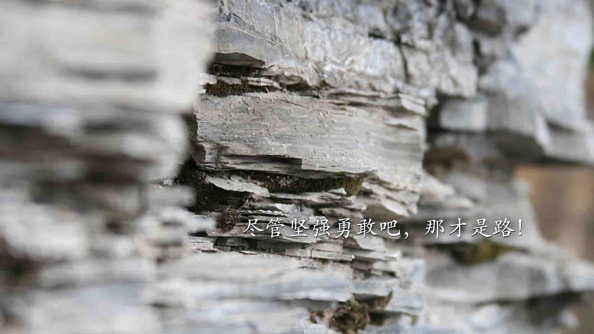 热带风暴席卷光明,2026世界杯E组,泰国奇迹一击力克葡萄牙,苏亚雷斯一剑封喉改写足球版图