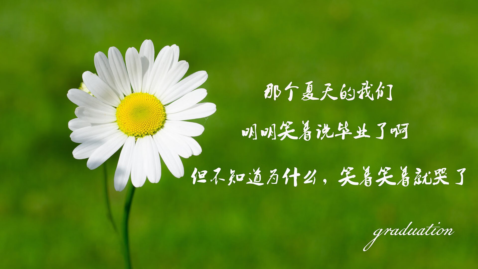 爱游戏在线-死亡之组首战爆冷，厄瓜多尔铁骑踏碎喀麦隆，德布劳内孤星闪耀难救主