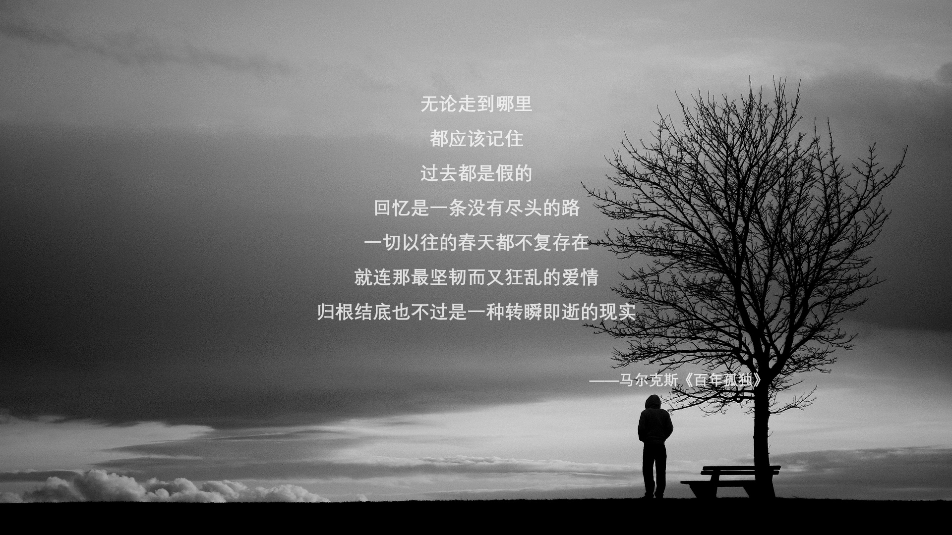 苏亚雷斯的最后一舞,与那个被写进神话的替补—2026世界杯决赛,保加利亚如何用唯一性征服世界